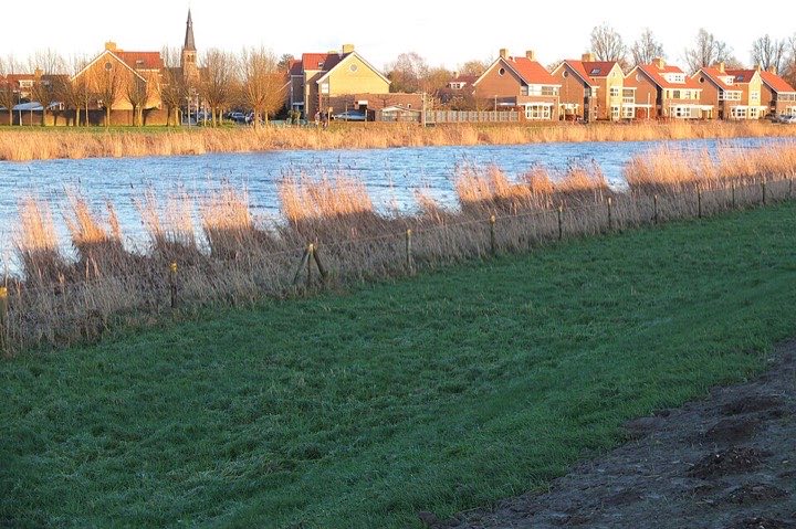 De rivier de Mark bij Terheijden