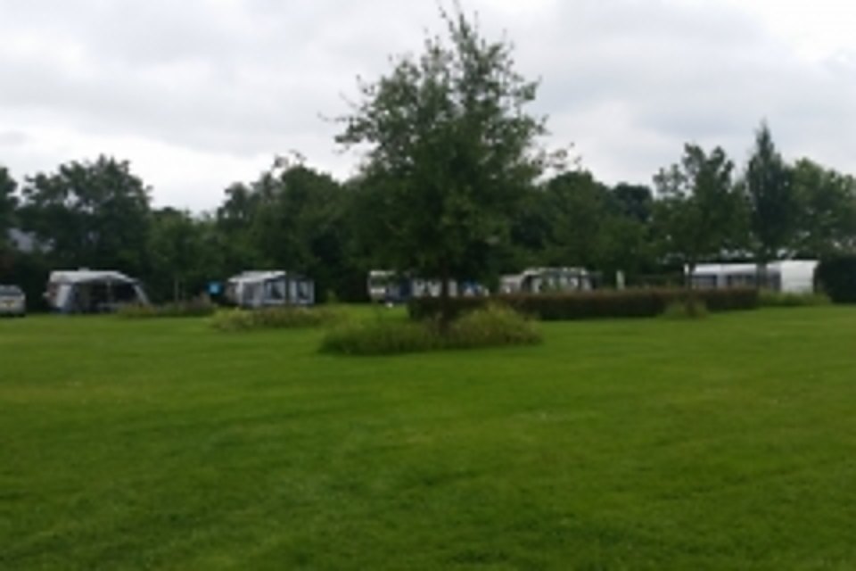 Grasveld met een boom en caravans op minicamping ’t Mostoch